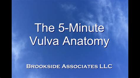 hymen pic|5 Minute Vulva Anatomy Video 